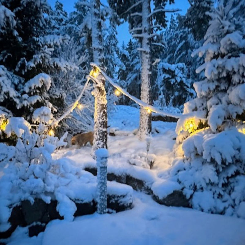 SELED ULKOVALOSARJA /VALOKETJU ULKOKÄYTTÖÖN VAIHDETTAVILLA E27 LED -LAMPUILLA. 20m / 40 lamppua