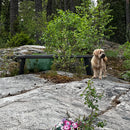 Hiilletty puu penkki KELO - Nordic Terrace Lifestyle (160 tai 200cm)