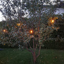 UUTUUS! SELED LIEKKI ULKOVALOSARJA ULKOKÄYTTÖÖN 15m