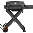 Mustang Kaasugrilli Fold