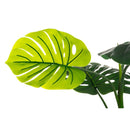 4 Living Collection Peikonlehti 120 cm