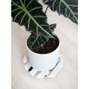 4 Living Collection Ruukunalunen pyöreä valkoinen 30 cm