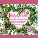 Jadeco - SINGLELAHJAPAKKAUS- kalanruoto pefletti x 1 ja ruususaippua