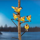 Finnlumor Valokoriste Talitintti 5 kpl