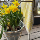 Jättipyyhe vai sisustusviltti  – Keltainen viltti terassille ja piknikille (140x170 cm) - Monikäyttöinen ja kevyt pyyhe toimii reissukumppanina ja kodin sekä terassin sisustamiseen.