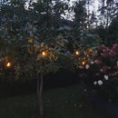 UUTUUS! SELED LIEKKI ULKOVALOSARJA ULKOKÄYTTÖÖN 15m